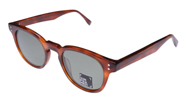 SunFramed! round turtoise retro shades